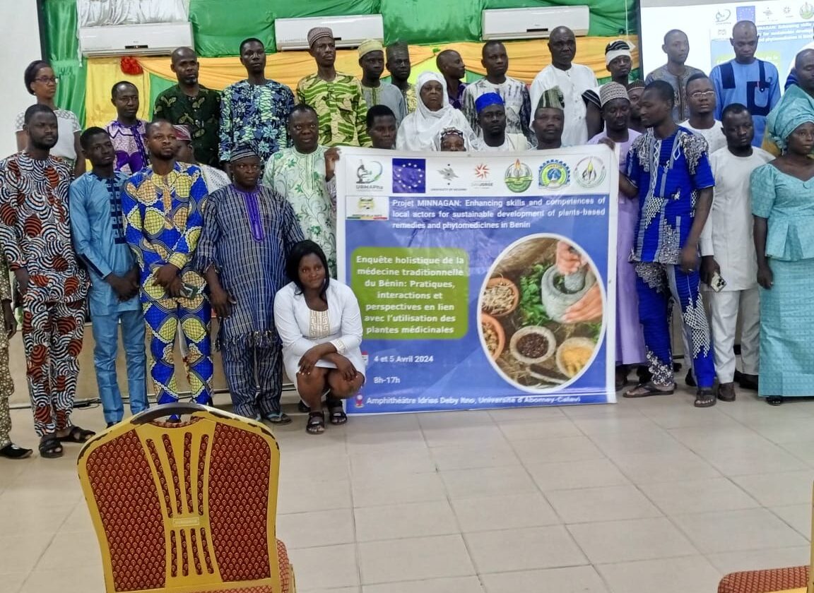 Holistic survey of traditional medicine practitioners