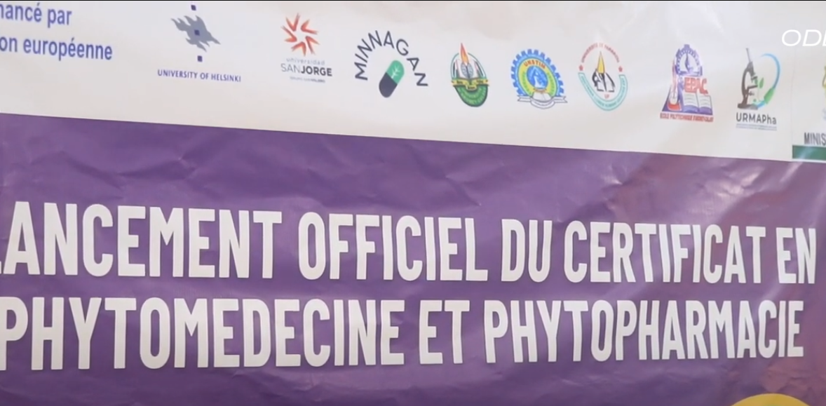 🌿✨ Official launch of the Certificate in Phytomedicine and Phytopharmacy ✨🌿