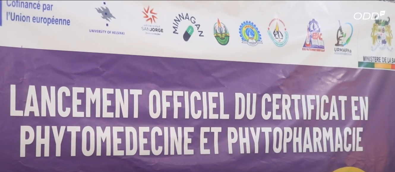 🌿✨ Official launch of the Certificate in Phytomedicine and Phytopharmacy ✨🌿